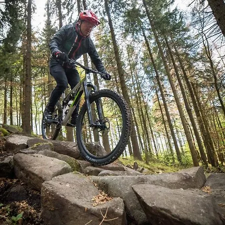 Hotel Plesivec Abertamy