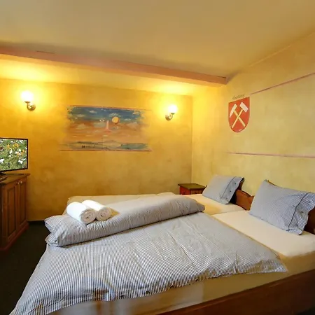 Hotel Plesivec 3*