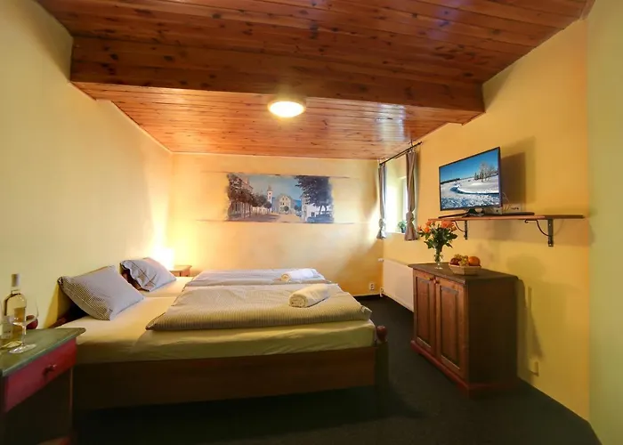 Hotell Plesivec 3*